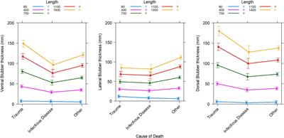 Toward New Ecologically Relevant Markers of Health for Cetaceans